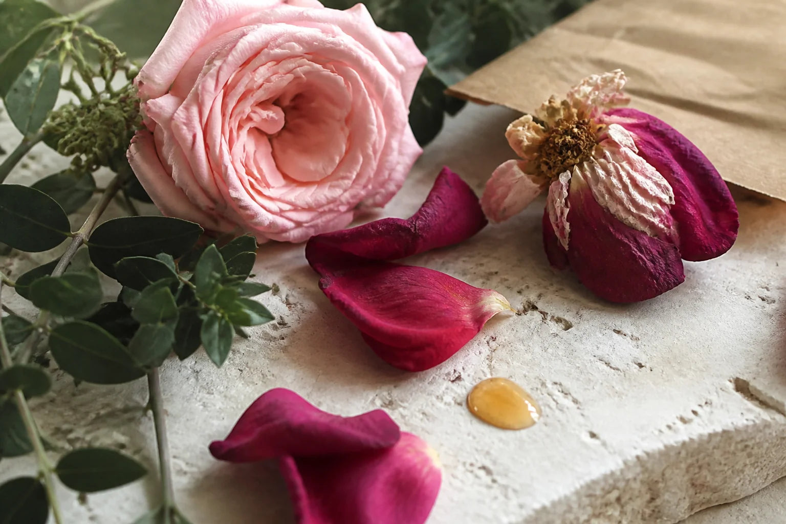 Rose flowers